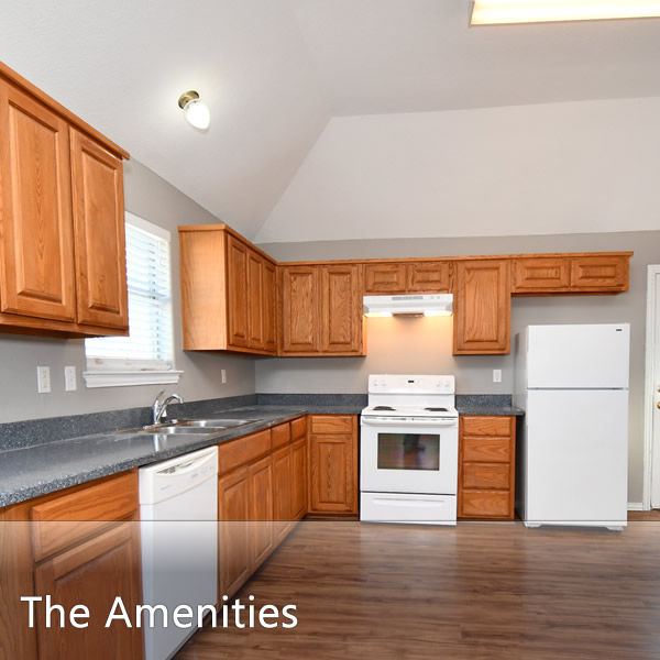 Features & Amenities